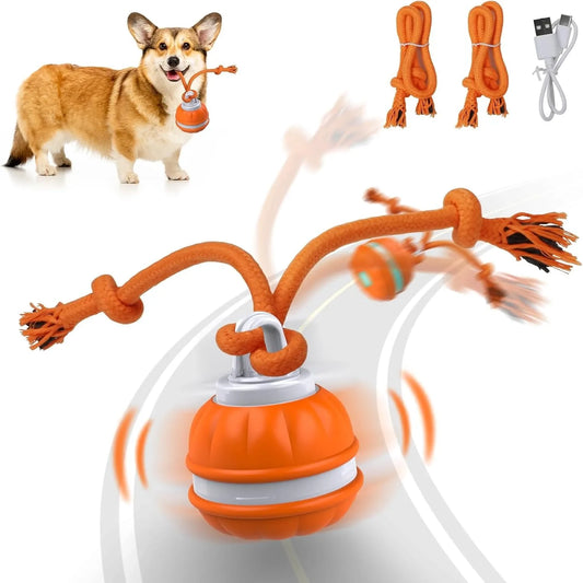 Pet Ball For Dogs Interactive Toys Motion Activate Rolling Ball For Puppys
